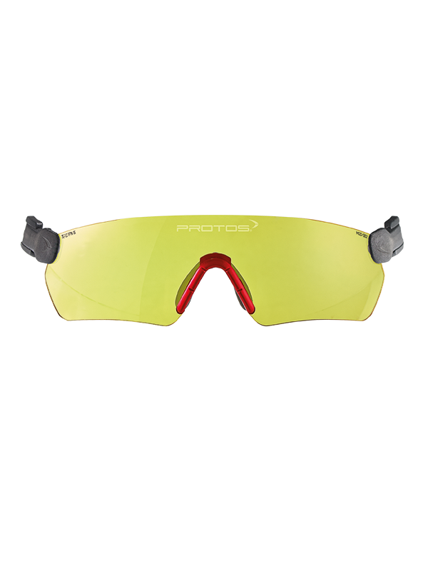 Protos Integral Schutzbrille