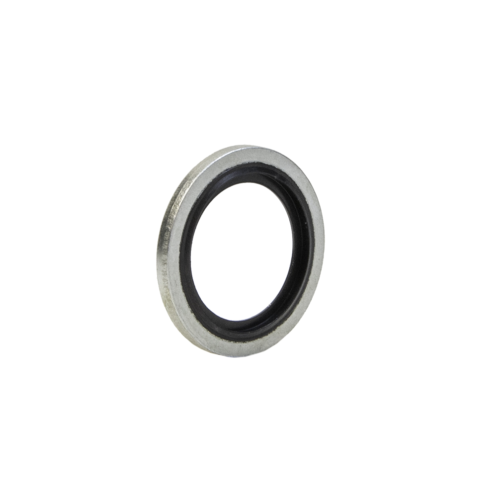 BSP Dichtring G1/8" - G2" | für zölliges Außengewinde
