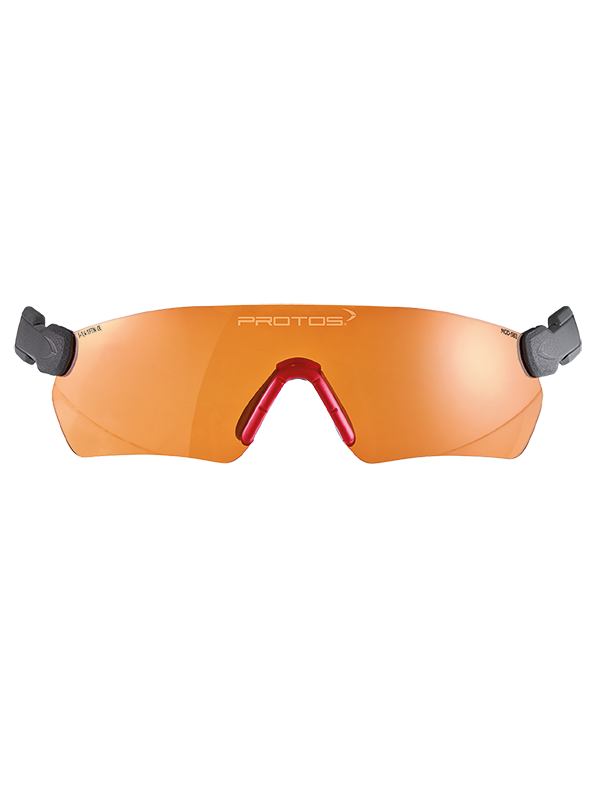 Protos Integral Schutzbrille